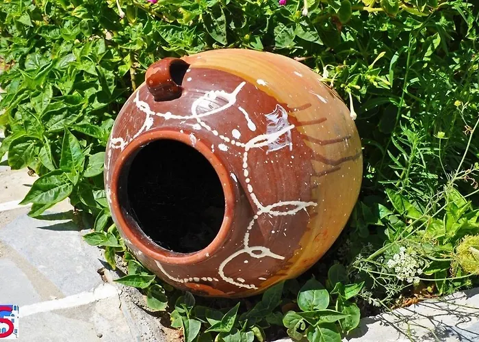 Soultana & * ポロニア